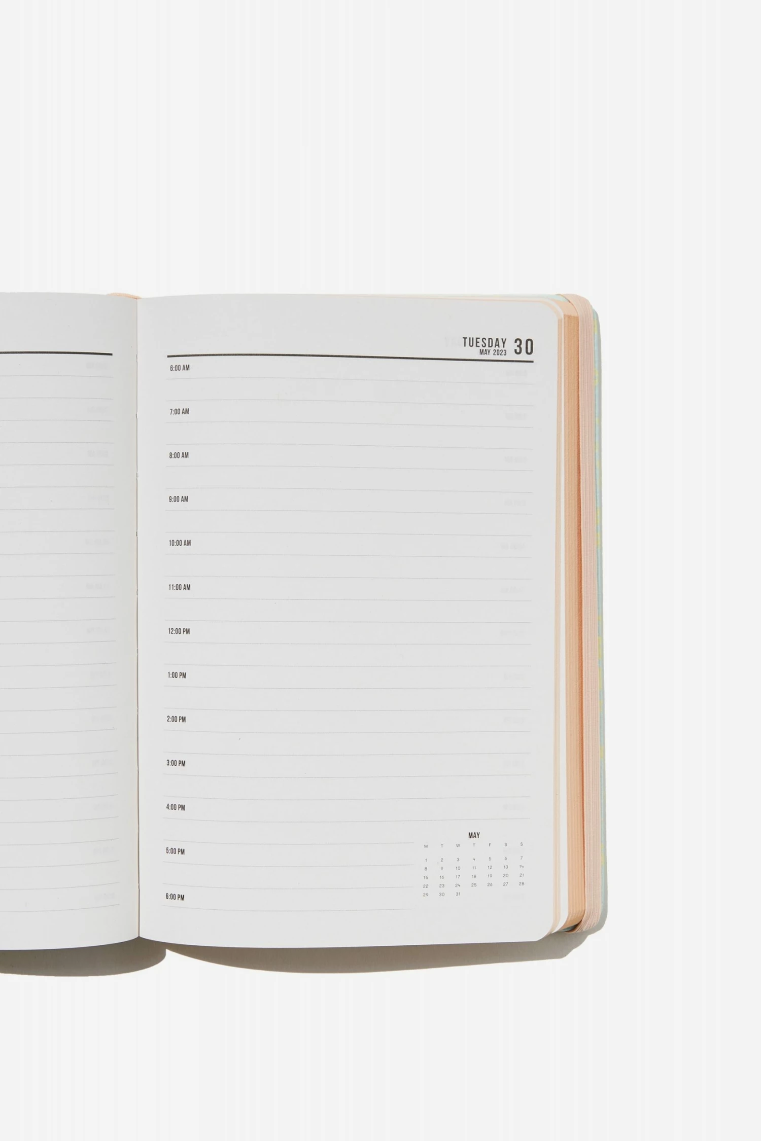 Typo 2023 A5 Daily Buffalo Diary 2 Typo 2023 A5 Daily Buffalo Diary - Image 2